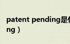 patent pending是什么牌子（patentpending）