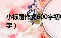 小标题作文600字初中青春（小标题作文600字）