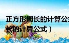 正方形周长的计算公式用字母表示（正方形周长的计算公式）