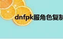 dnfpk服角色复制（dnfpk服复制）