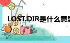 LOST.DIR是什么意思英语（lost是什么意思）