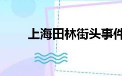 上海田林街头事件（田林街头事件）