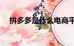 拼多多是什么电商平台（拼多多是什么）