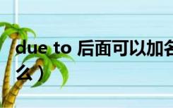 due to 后面可以加名词吗（due to后面接什么）