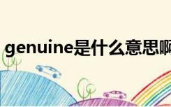 genuine是什么意思啊（genuine什么意思）