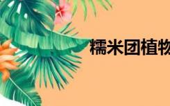 糯米团植物（檽米团）