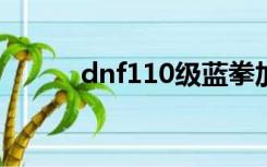 dnf110级蓝拳加点（蓝拳加点）