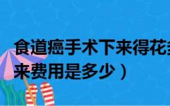 食道癌手术下来得花多少钱（食道癌手术全下来费用是多少）