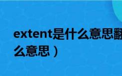 extent是什么意思翻译成中文（extent是什么意思）