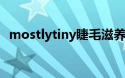 mostlytiny睫毛滋养液（dhc睫毛滋养液）