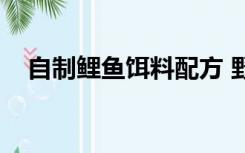 自制鲤鱼饵料配方 野钓（自制鲤鱼饵料）