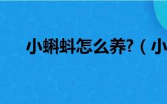 小蝌蚪怎么养?（小蝌蚪怎么养不会死）