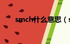 smch什么意思（sbitch5什么意思）