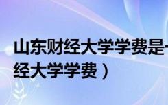 山东财经大学学费是一年还是一学期（山东财经大学学费）