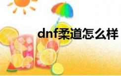 dnf柔道怎么样（dnf柔道连招）