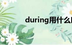 during用什么时态（during）