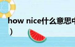 how nice什么意思中文（nice什么意思中文）