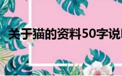 关于猫的资料50字说明文（关于猫的资料）