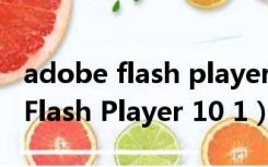 adobe flash player是干什么用的（Adobe Flash Player 10 1）