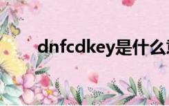 dnfcdkey是什么意思（dnfcdkey）