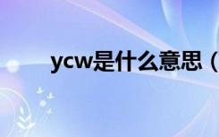 ycw是什么意思（yc是什么意思污）