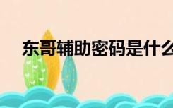 东哥辅助密码是什么（东哥辅助手机版）