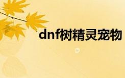 dnf树精灵宠物（dnf树精丛林）