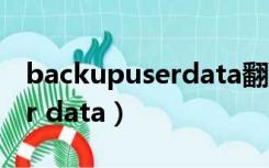 backupuserdata翻译成中文（backup user data）