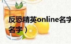 反恐精英online名字皮肤（反恐精英online名字）