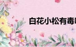 白花小松有毒吗（白花小松）