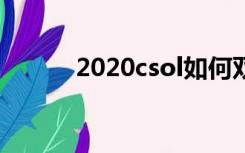 2020csol如何双开（csol双开）