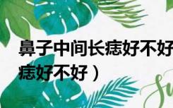 鼻子中间长痣好不好?图片大全（鼻子中间长痣好不好）