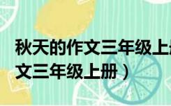 秋天的作文三年级上册300字左右（秋天的作文三年级上册）