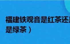 福建铁观音是红茶还是绿茶（铁观音是红茶还是绿茶）